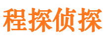 洛龙侦探公司